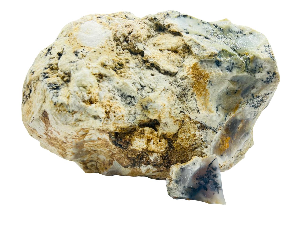 العقيق الشجري السرخسي